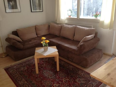 Nice and sunny living room