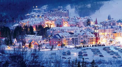 Magical Pedestrian Village
