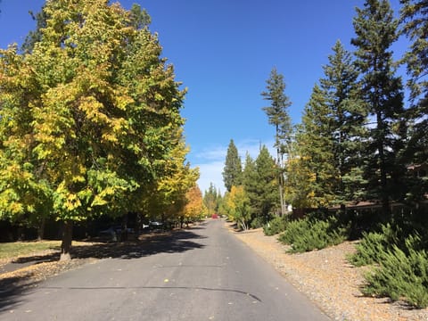 Gateway to the center of Flathead Region
