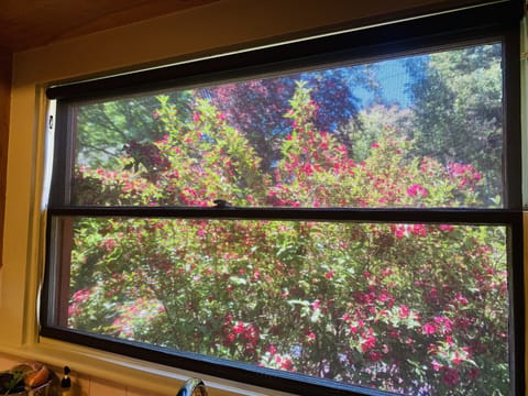 Large kitchen window providing view of the garden.