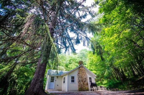 Experience the beauty of the Laurel Highlands. Book your mountain getaway today.
We offer the most unique collection of vacation homes in Laurel Highlands. From a cozy couple's getaway to a sprawling 400-acre private retreat, we have the perfect accommodations for your destination getaway.