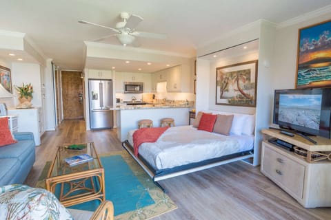 Queen sized murphy bed