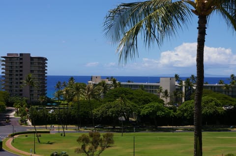 Lanai View