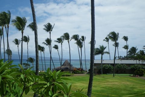 Napili Shores Resort