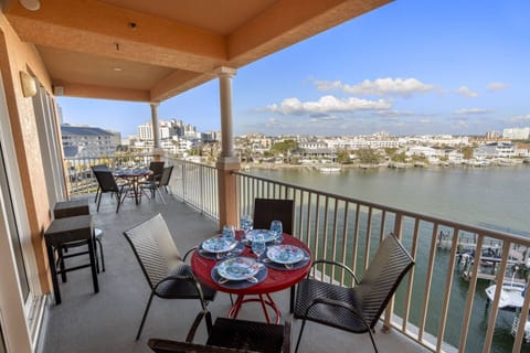 Get a Bird's Eye View of the Dolphins Passing By!