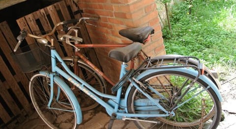 Relax in badia polesine in single villa apartment 2 Apartment in Veneto