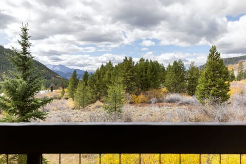 View of a mountainous landscape with a foreground of evergreen trees and grassy fields under a cloudy sky, seen from behind a dark railing.