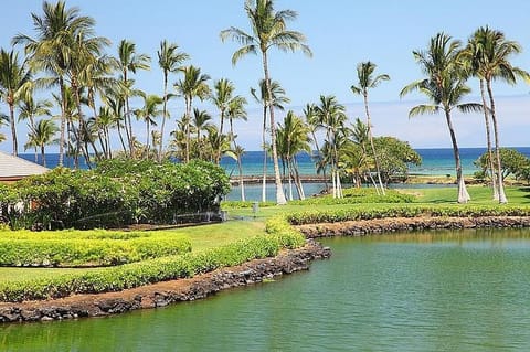 mauna lani terrace e201