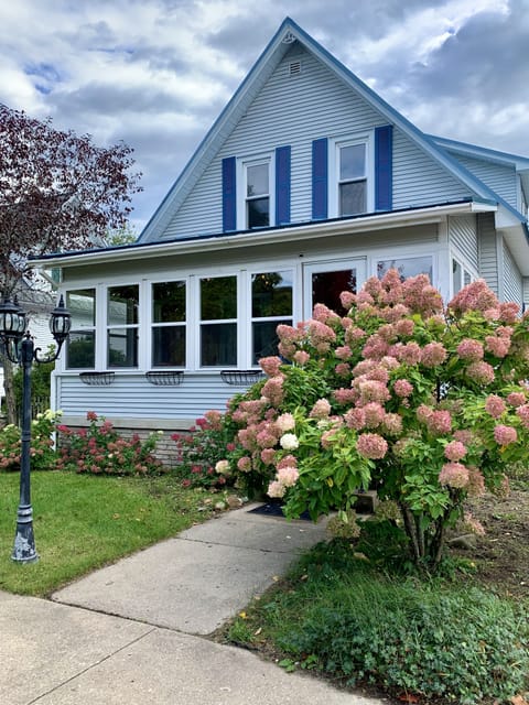 Colorful September blooms. 