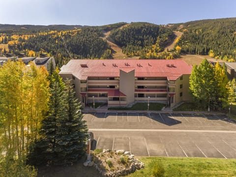 Ski Run Condominiums--Walk to the lifts, 7 restaurants, & 3 night spots.