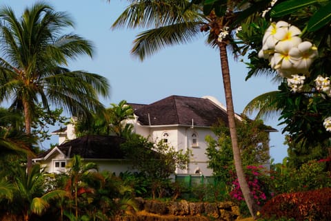 Windswept sits on a ridge overlooking the nearby Caribbean Sea