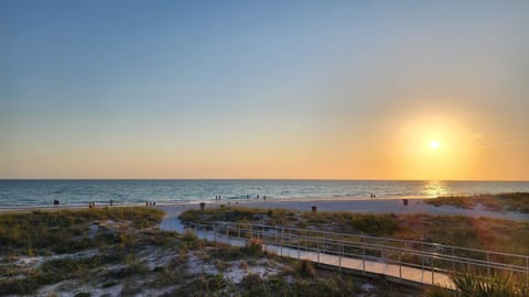 View from the Balcony