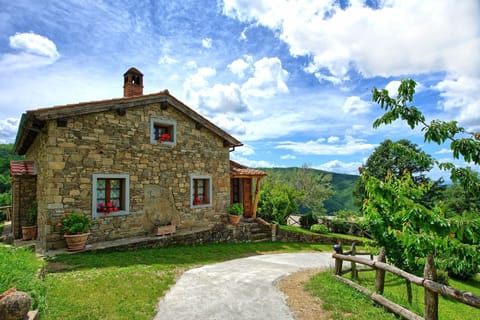 Garden, Outdoor