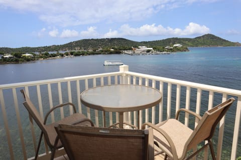 Patio View