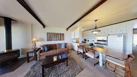 Living Area with Kitchen - Living Area with Kitchen