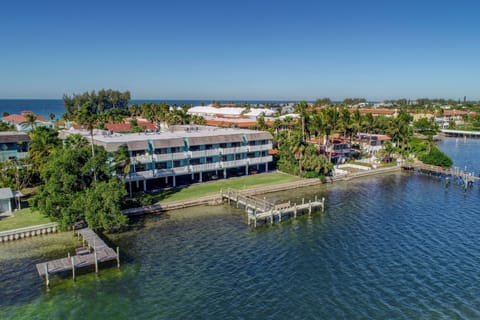 Anna Maria Island Beach Palms 2A