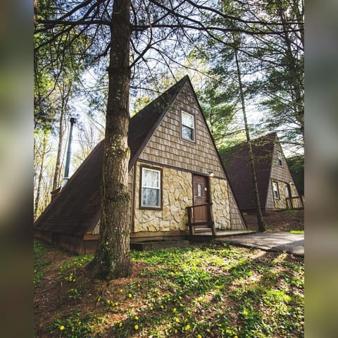 A-Frame #14 Exterior