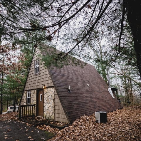 A-Frame #02 Exterior