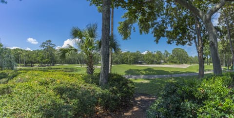 Cougar Point Golf Course View