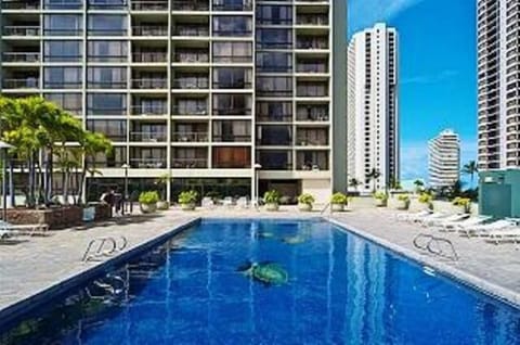 Waikiki Sunset Sapphire Honu Pool