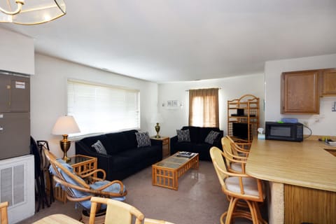 Stone Harbor # 201 Living Area