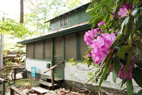 Welcome to Duneside Retreat!