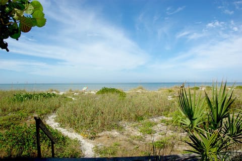 Beautiful Coastline - Backyard stairs lead directly to Gulf &amp; beach from this truly authentic Beach Cottage