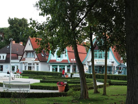 Immediate Surroundings [summer] (<1 km)