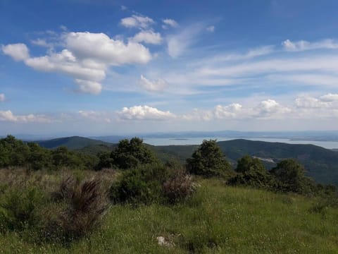 La Fattoria, a farmhouse in Cortona with a panoramic view of Lake Trasimeno  House in Umbria
