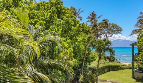 View from  Condo 217, Napili Bay Resort