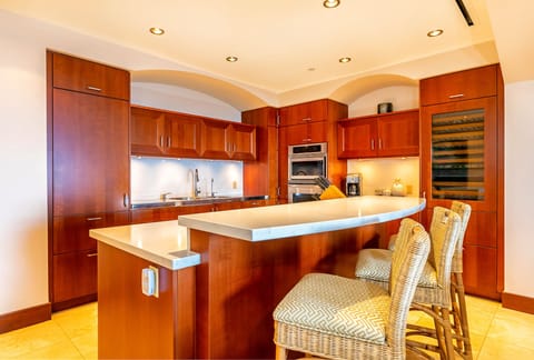 Fully stocked gourmet kitchen