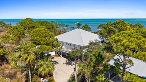 Waterfront property nestled among lush tropical trees with stunning coastal views and private beach access.