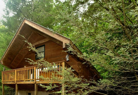 Wild Thing #1525- Outside View of the Cabin - view of the cabin