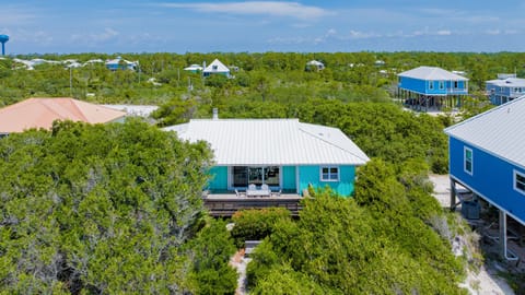 Welcome to Seas the Day!