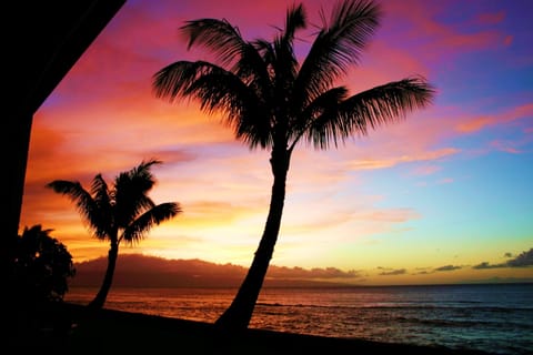 Pic taken from our Ground Floor Lanai, just steps to the ocean!  Our best sunset