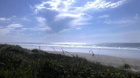 the view