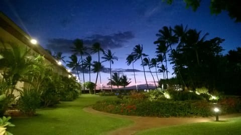 The view at night from unit 113