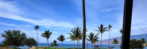 Maui Sunset B223 3 BR, 3 BA Ocean Front Condo w/ Spectacular Sunsets! Apartment in Kihei