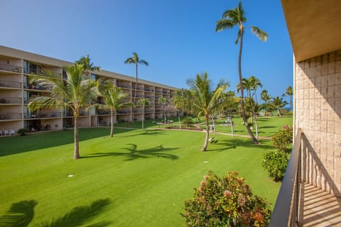 The view from Maui Sunset #A-204