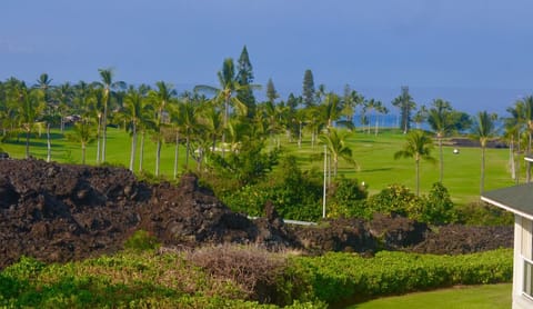 View from Master Bedroom Lanai