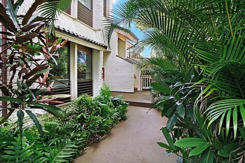 Entryway Path - Kahala 912