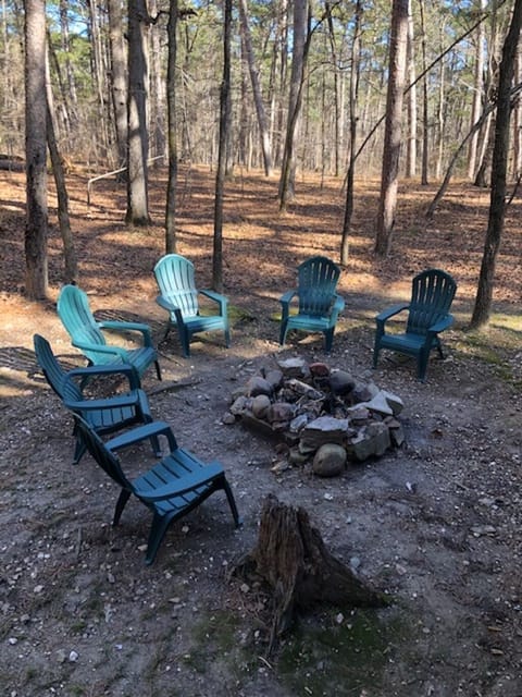 Fire pit, bring your own firewood and matches!