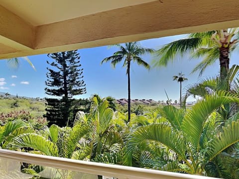 Lanai Views