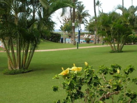 MS 112A Grounds
