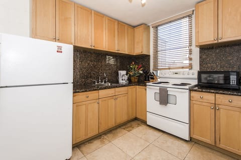 Fully Equipped Kitchen Ready to Cook