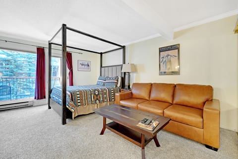 Bedroom/Living room