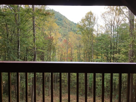 view from upper porch