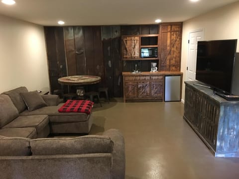 Downstairs Family Room