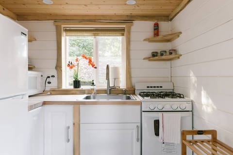 Gas stove, pull out faucet