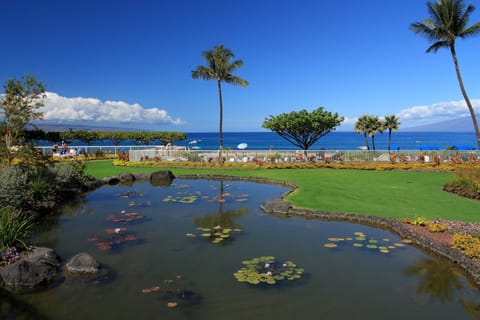 Koi ponds and bright green grass make the Whaler grounds serene and inviting